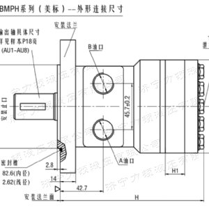 BM1系列（美標(biāo)）馬達