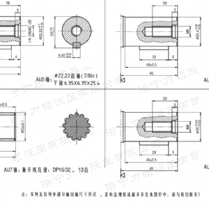 BM1系列（美標(biāo)）馬達