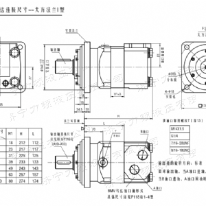 BMV大方系列馬達