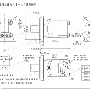 BMV大方系列馬達(dá)