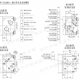 BMV大方系列馬達(dá)