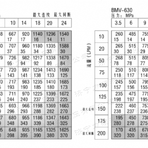 BMV車輪系列馬達(dá)