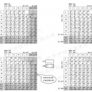 BM2(國(guó)際)系列